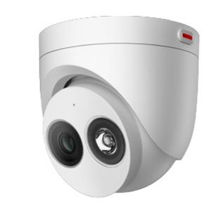 D3020-00-I-P(2.8mm) 2 million infrared dome camera