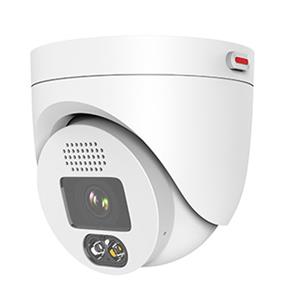 D3040-10-ELI-PV 4 million dual-light full-color voice AI dome camera