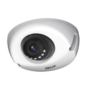 Pelco IWP232-1ERS 派尔高防破坏楔形红外室外IP球机